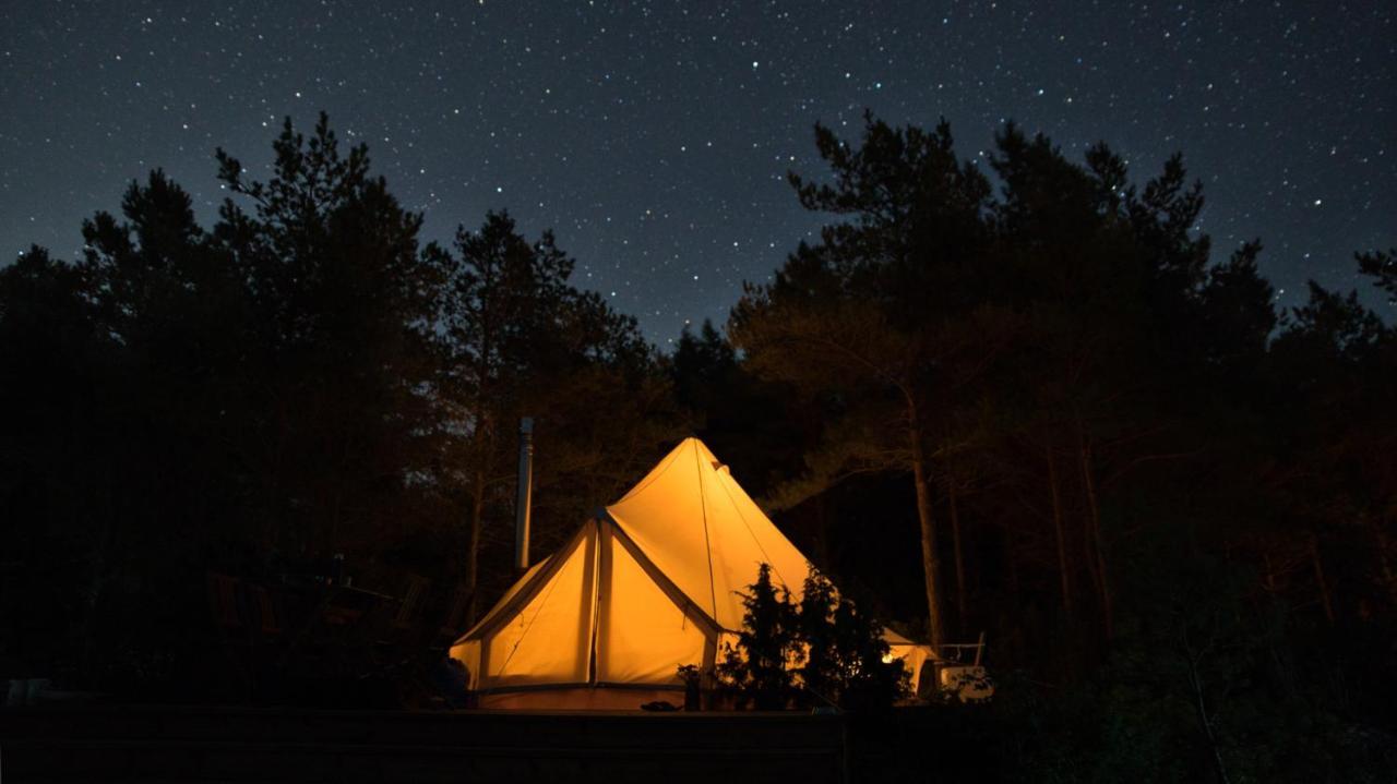 Luxury tent Moenus Paik Glamping